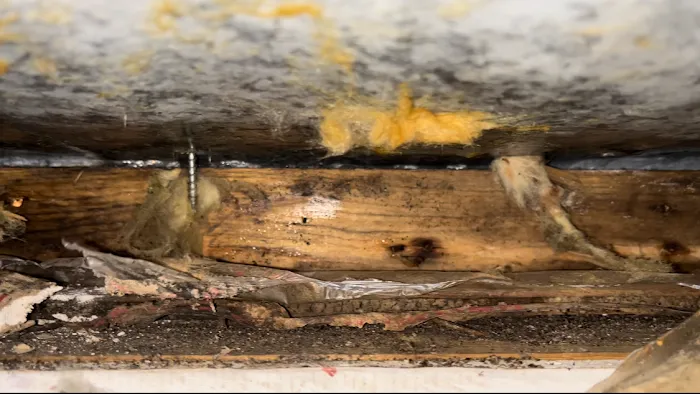 #1 Northwest, Inc Picture 3