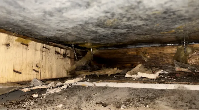 #1 Northwest, Inc Picture 9