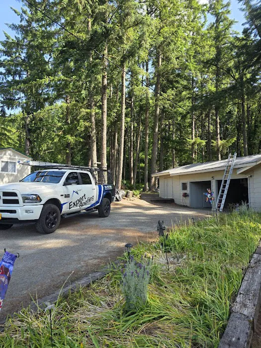 Expert Roofing Services LLC Picture 9