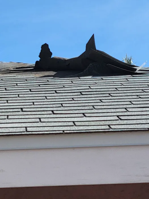 Vegas Storm Solutions Picture 6