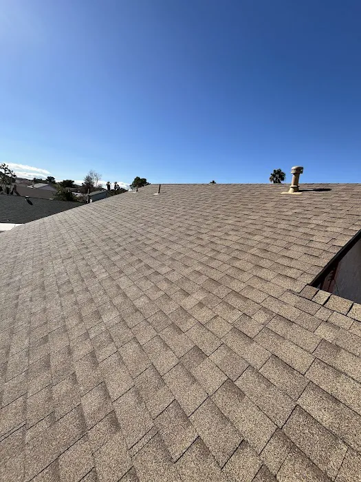 Vegas Born Roofing Picture 4