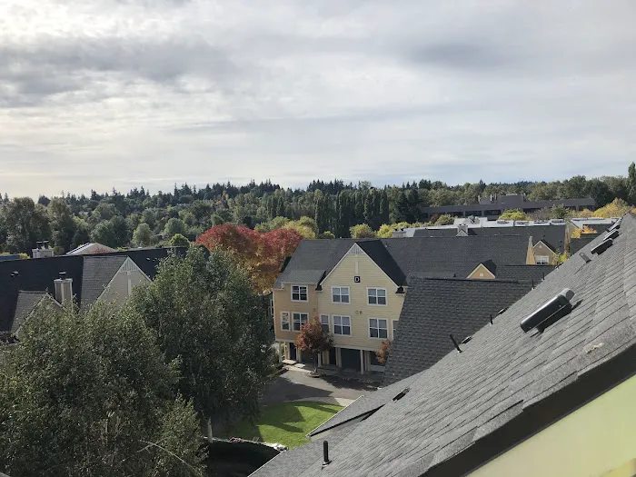 Las Vegas Roofing Services Picture 1