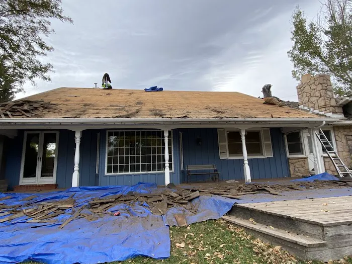 New Roof Plus Picture 6