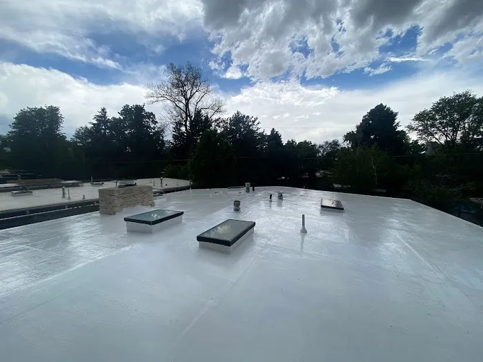 New Roof Plus Picture 2