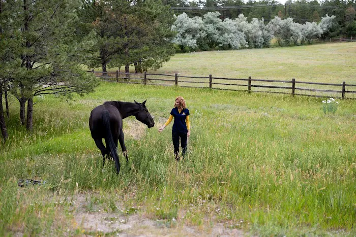 Bumble Roofing Denver South Picture 7