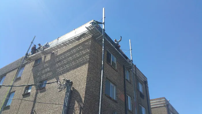 Ecological Roofing Systems Inc Picture 4