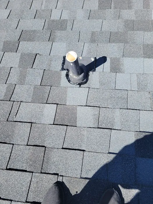 Ecological Roofing Systems Inc Picture 9