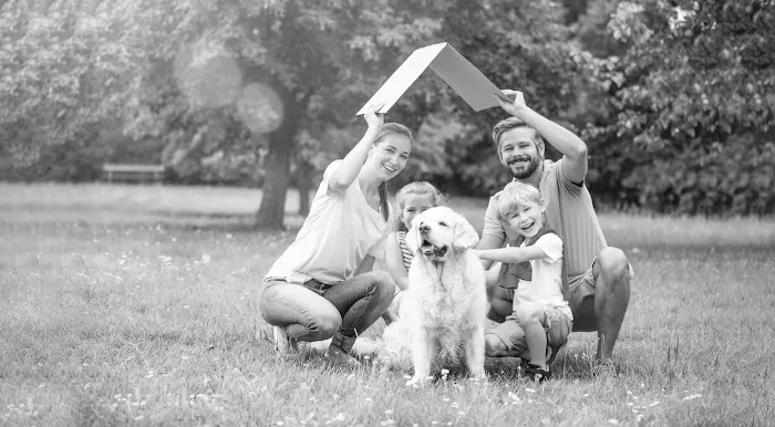 DreamHome Restoration Picture 2