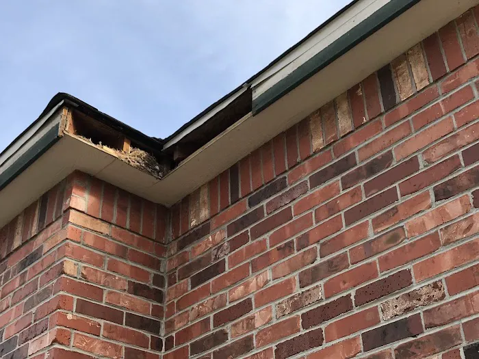 DreamHome Restoration Picture 7