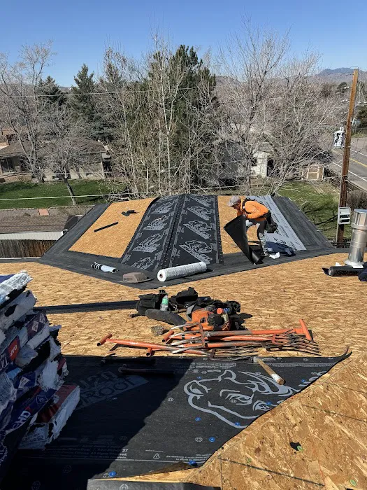 Starlight Exteriors Picture 3