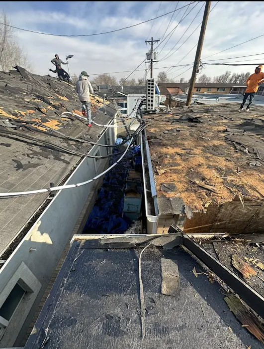 Starlight Exteriors Picture 7