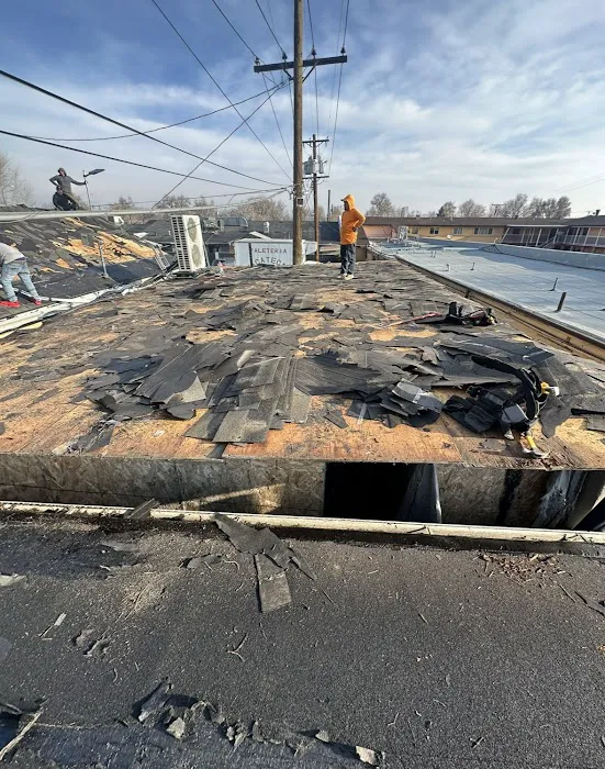 Starlight Exteriors Picture 9