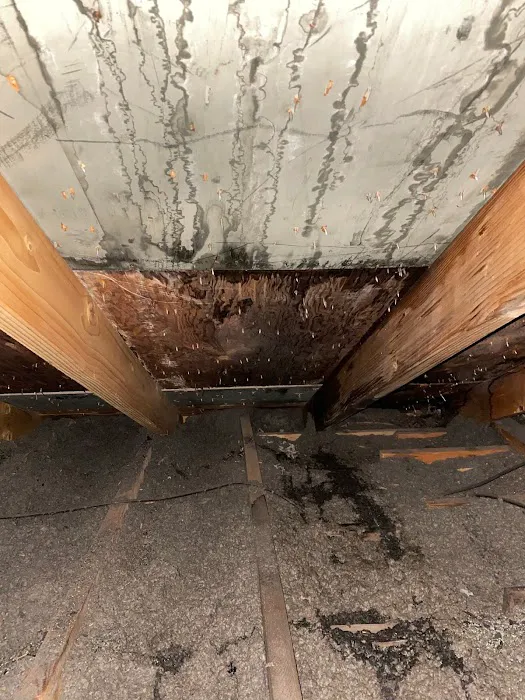 Aspen Roofing & Exteriors, Inc Picture 4