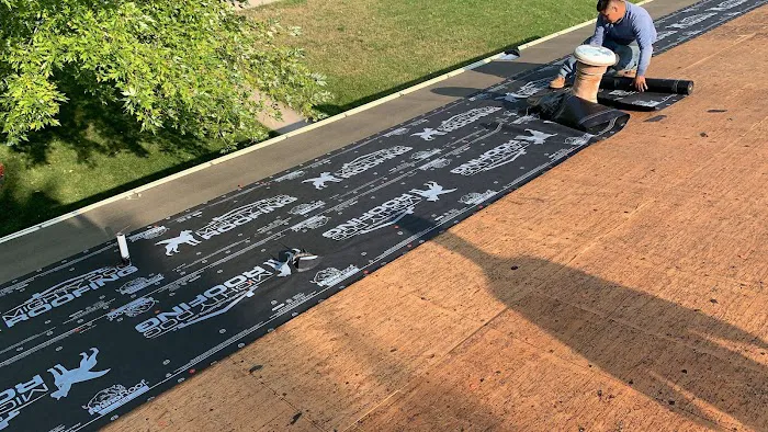 Mighty Dog Roofing of Downtown Denver Picture 1