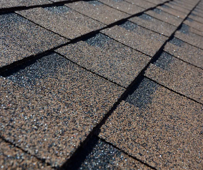 Mighty Dog Roofing of Downtown Denver Picture 10