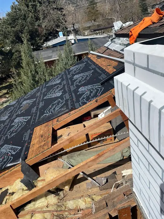 Roof Xperts Picture 4