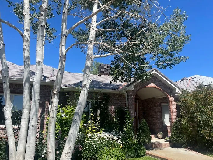 Roof Xperts Picture 9