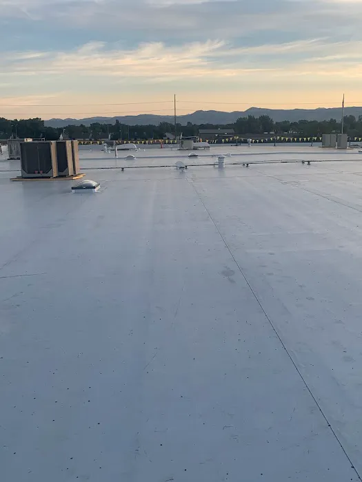 Next Wave Roofing Picture 5