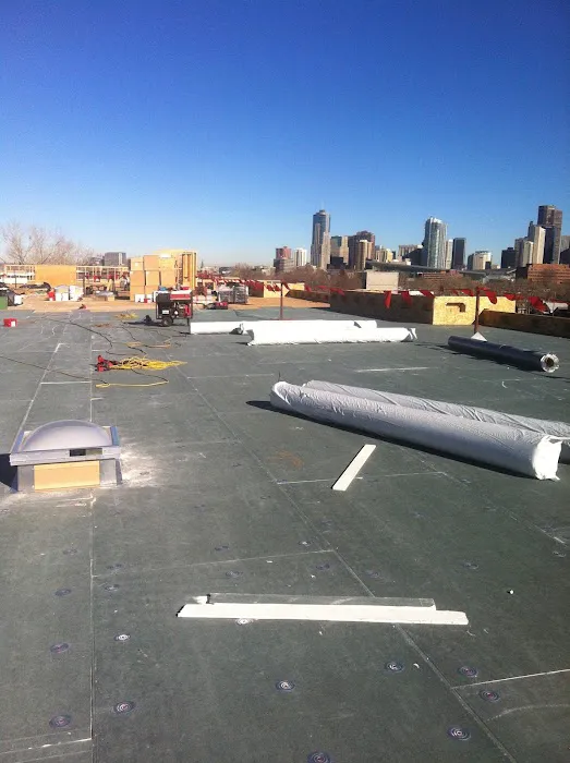 Rivera Roofing INC Picture 5