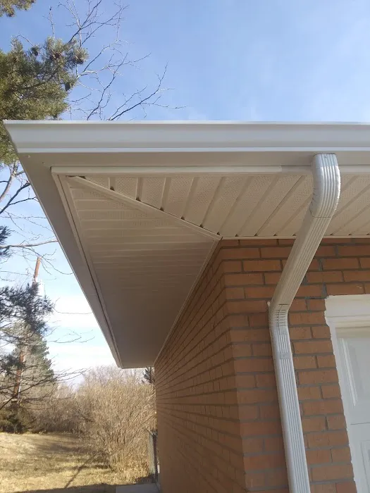 Reclamation Roofing Picture 2