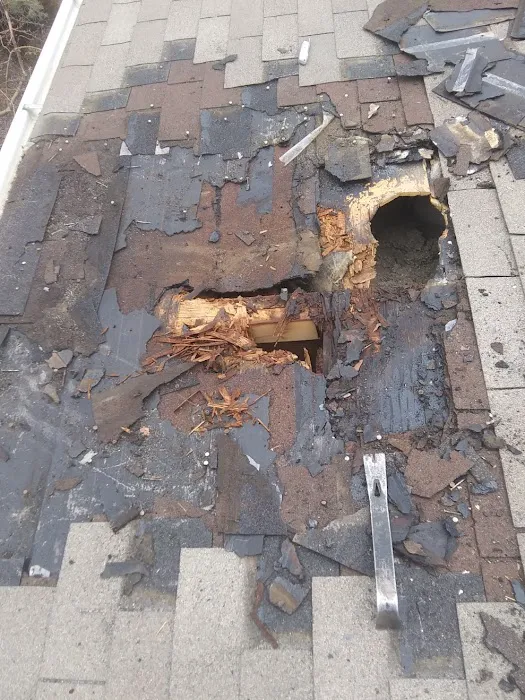 Reclamation Roofing Picture 7