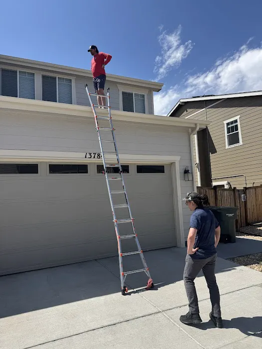 Coltex Roofing & Gutters Picture 1