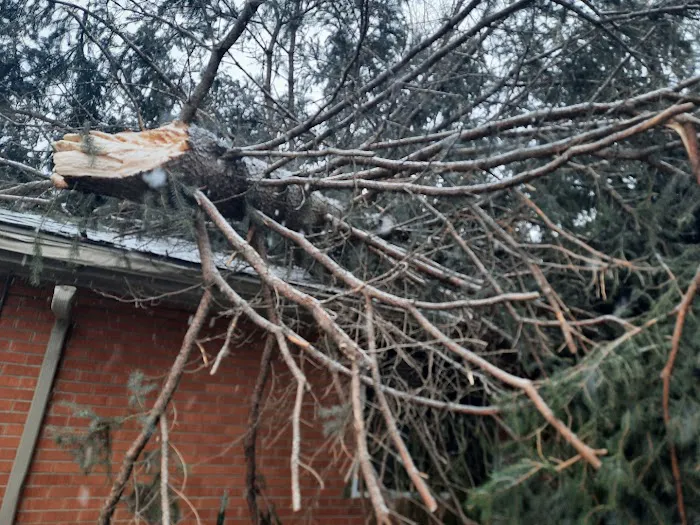 All City Construction And Roofing Picture 3