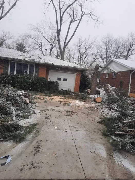 All City Construction And Roofing Picture 1