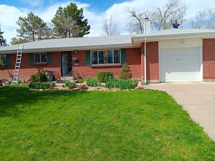 Gold Star Premium Picture 5