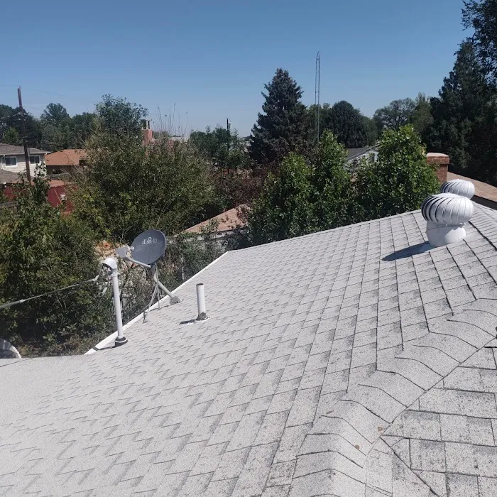 Gold Star Premium Picture 9