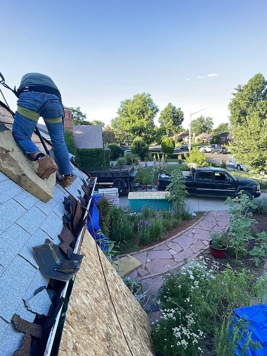 Tried and True Roofing Picture 8