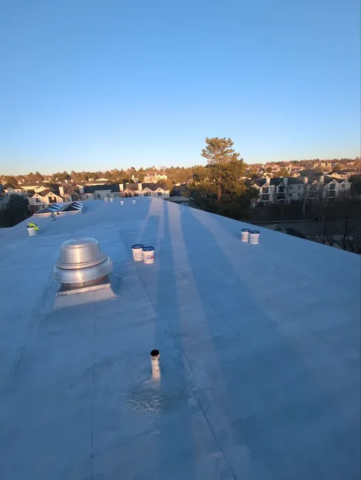 Rize Exterior Services Picture 3