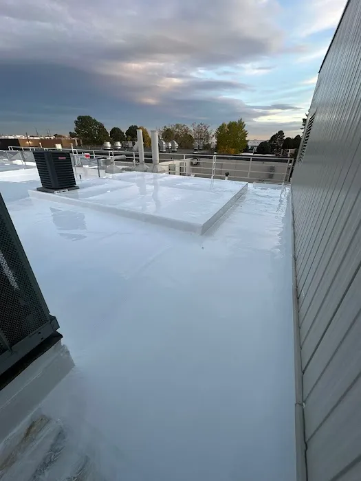 Rize Exterior Services Picture 6