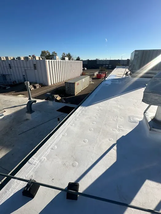 Rize Exterior Services Picture 8