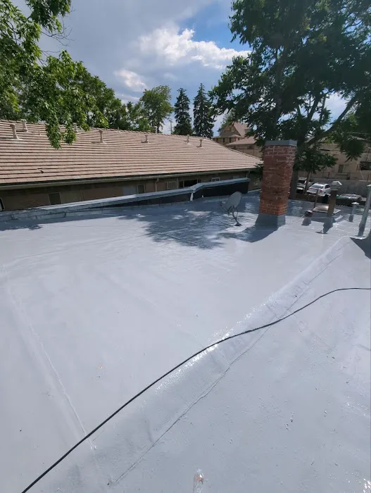 Rize Exterior Services Picture 7