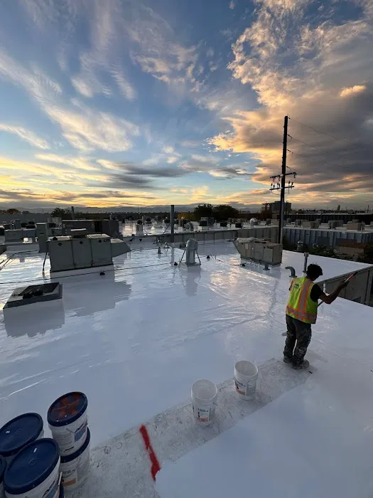 Rize Exterior Services Picture 5