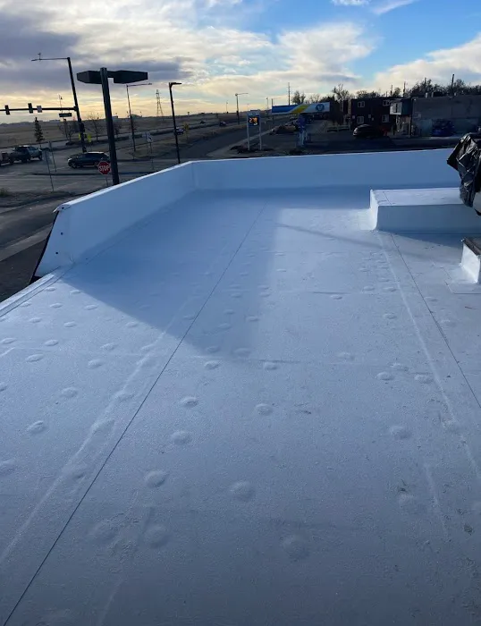 Precise Roofing Picture 5