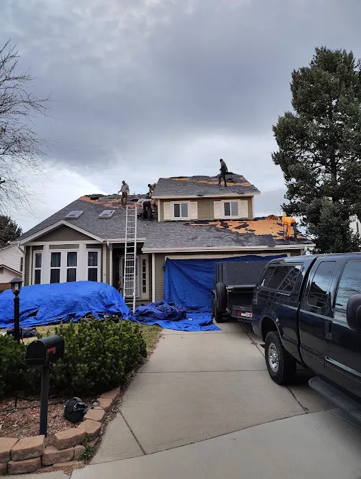 730 South Exteriors & Roofing Picture 2