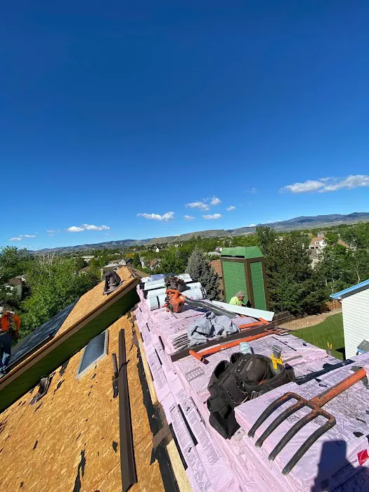 Roof Squad Picture 1