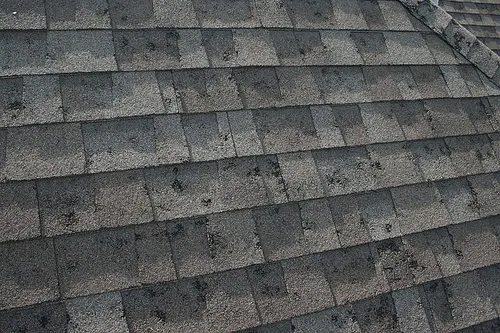 Exterior Experts Picture 6