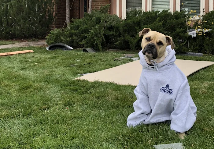 Kodiak Roofing Picture 2