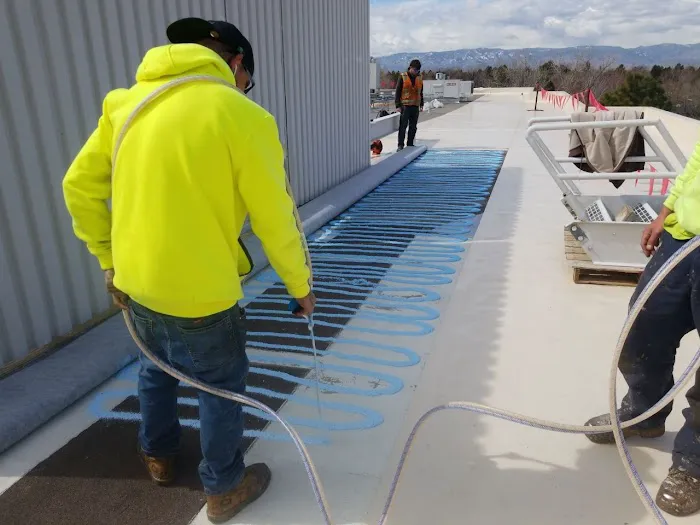 Alpine Roofing LTD Picture 8