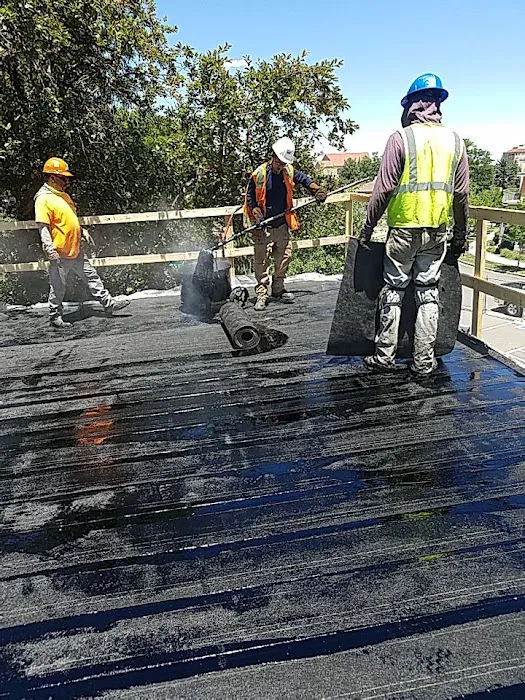 Alpine Roofing LTD Picture 9