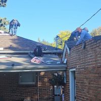 Blue Spruce Roofing & Exteriors ico