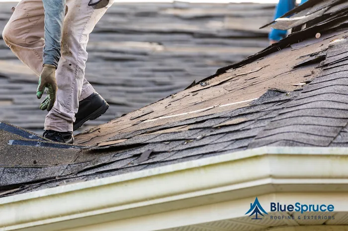 Blue Spruce Roofing & Exteriors Picture 10