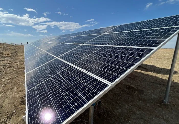 Weddle and Sons Roofing of Denver Picture 1