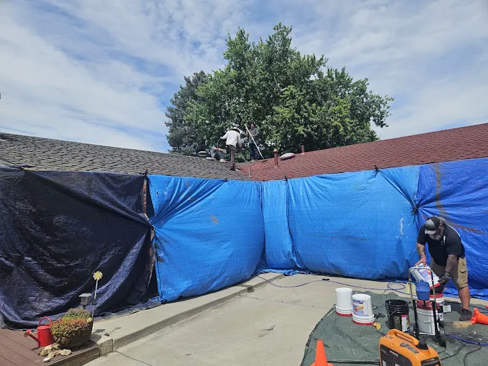 Roof Evolution Picture 5