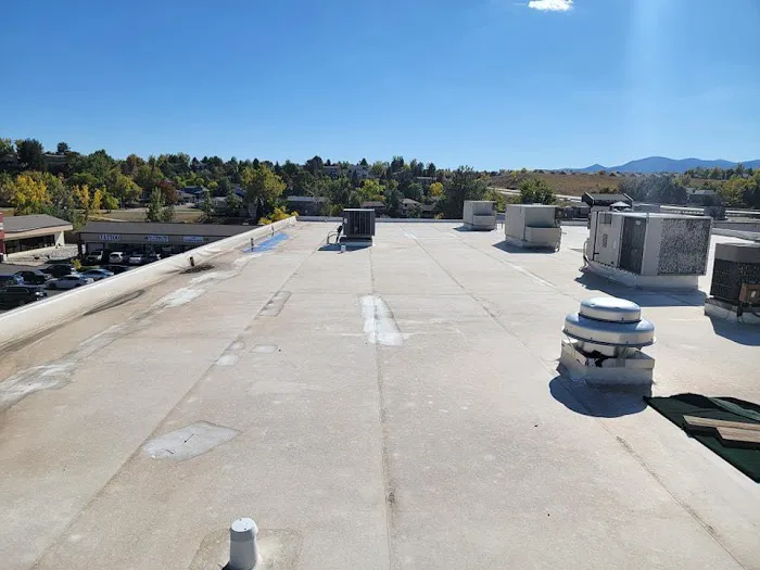 Roof Evolution Picture 7