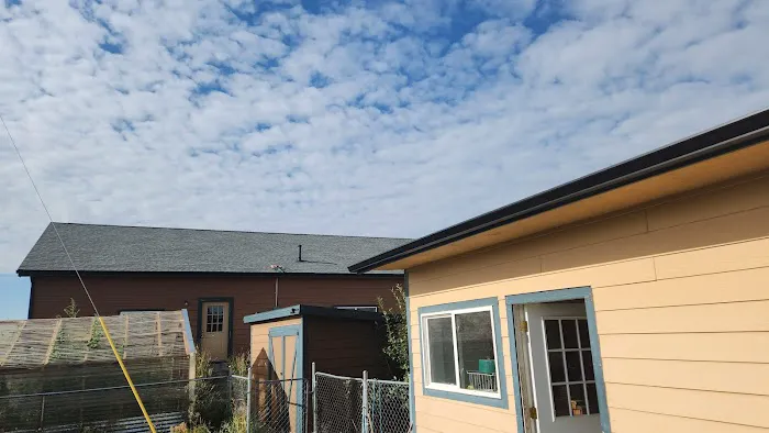 Roof Evolution Picture 3