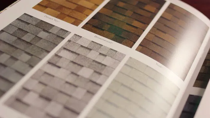 ASAP Roofing Picture 5